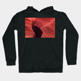 850_3770 Hoodie